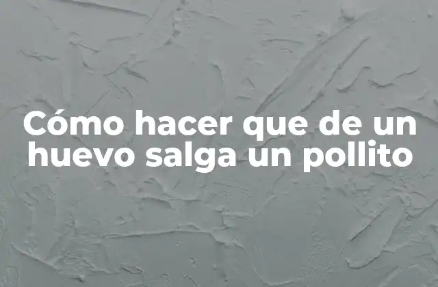 Cómo Hacer que de un Huevo Salga un Pollito