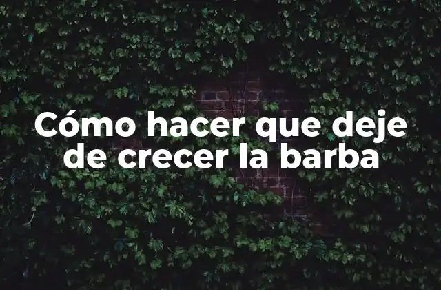 Cómo Hacer que Deje de Crecer la Barba