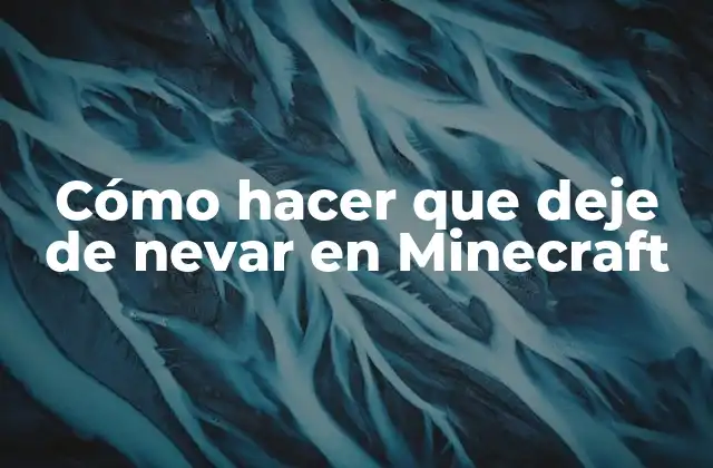 Cómo Hacer que Deje de Nevar en Minecraft