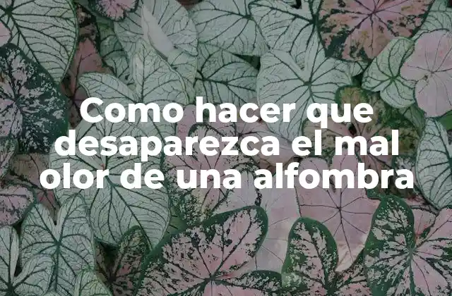 Como Hacer que Desaparezca el Mal Olor de una Alfombra