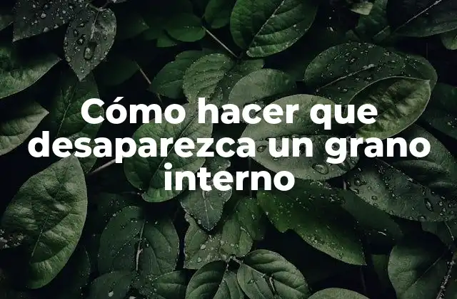 Cómo Hacer que Desaparezca un Grano Interno