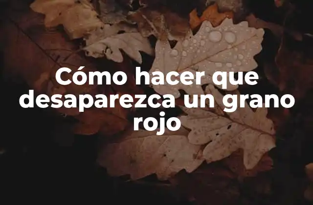 Cómo Hacer que Desaparezca un Grano Rojo