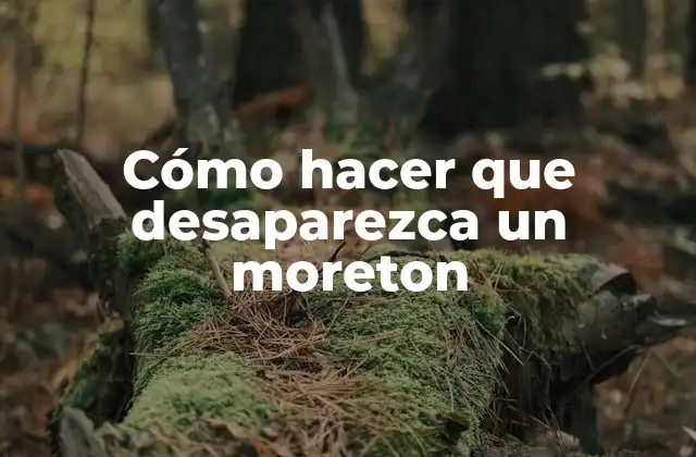Cómo Hacer que Desaparezca un Moreton