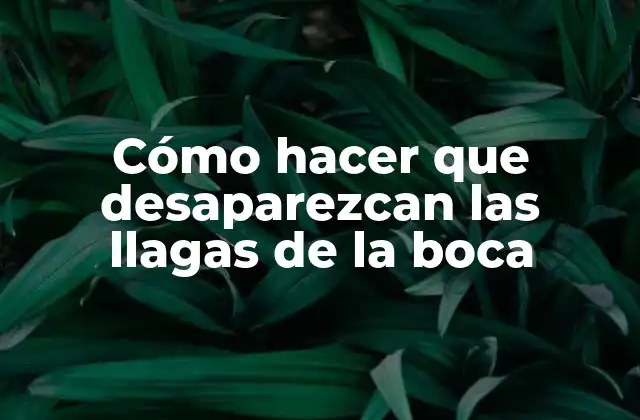 Cómo Hacer que Desaparezcan las Llagas de la Boca