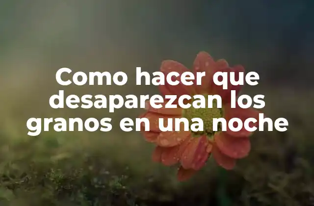 Como Hacer que Desaparezcan los Granos en una Noche