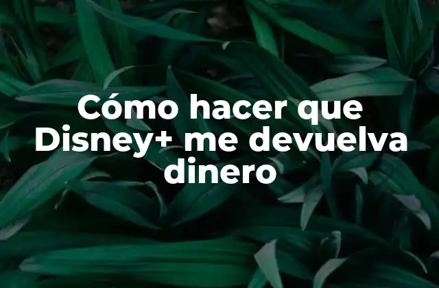 Cómo hacer que Disney+ me devuelva dinero