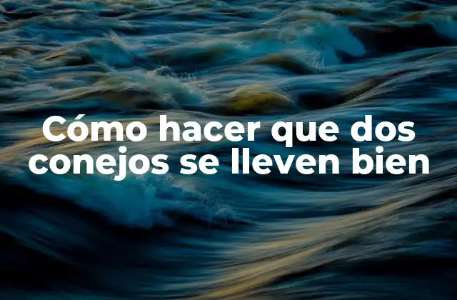 Cómo Hacer que Dos Conejos Se Lleven Bien