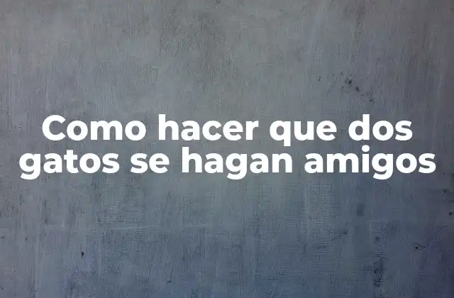 Como Hacer que Dos Gatos Se Hagan Amigos