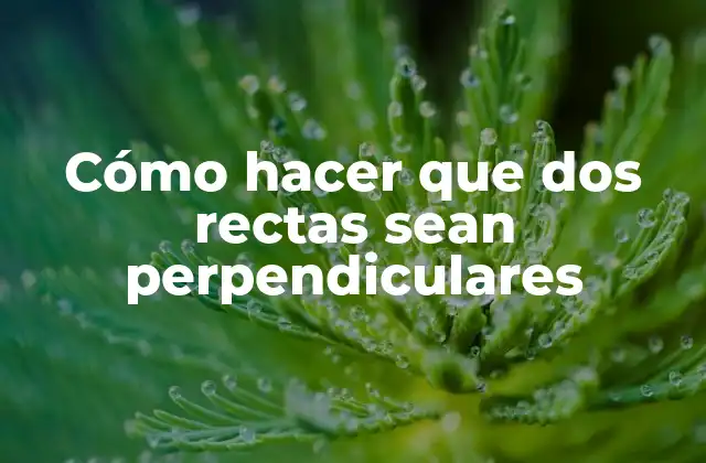 Cómo Hacer que Dos Rectas Sean Perpendiculares