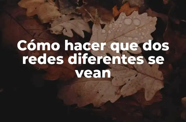Cómo Hacer que Dos Redes Diferentes Se Vean