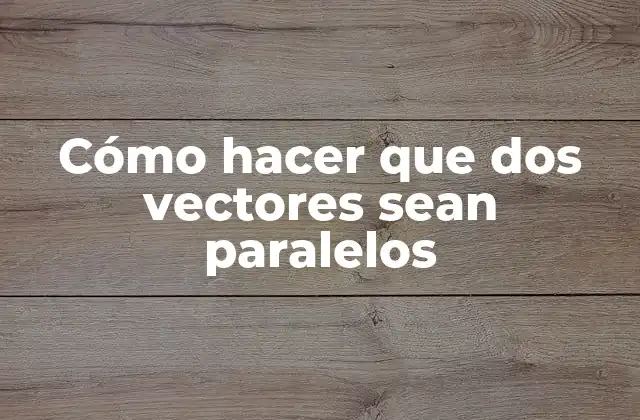Cómo Hacer que Dos Vectores Sean Paralelos