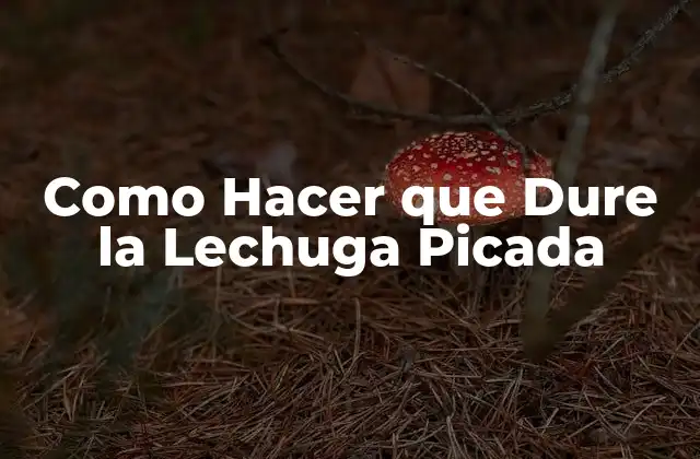 Como Hacer que Dure la Lechuga Picada
