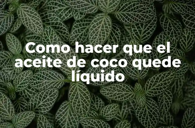 Como Hacer que el Aceite de Coco Quede Líquido