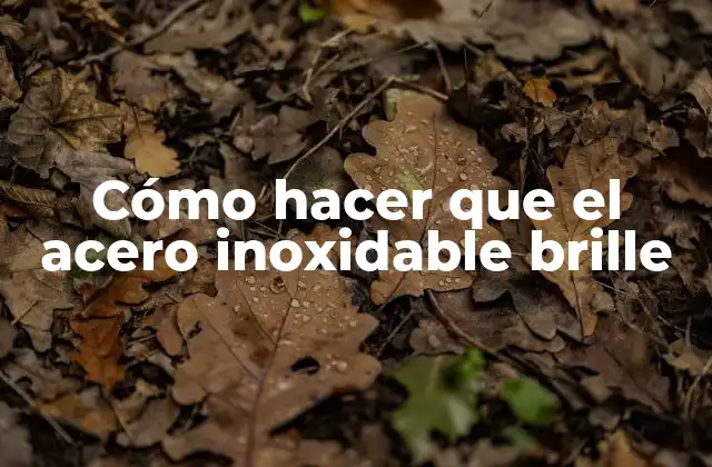 Cómo Hacer que el Acero Inoxidable Brille 2 Acero inoxidable: características y beneficios