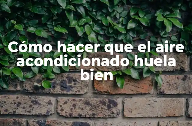 Cómo Hacer que el Aire Acondicionado Huela Bien 2 Cómo hacer que el aire acondicionado huela bien