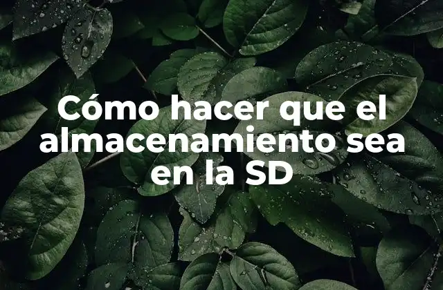 Cómo Hacer que el Almacenamiento Sea en la Sd