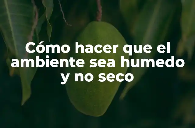 Cómo Hacer que el Ambiente Sea Humedo y No Seco