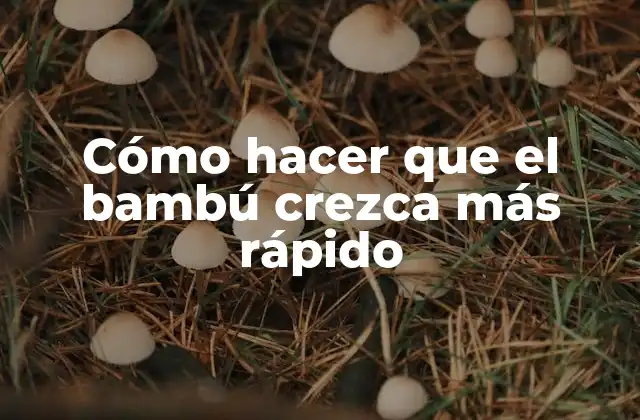Cómo Hacer que el Bambú Crezca Más Rápido 2 Cómo hacer que el bambú crezca más rápido