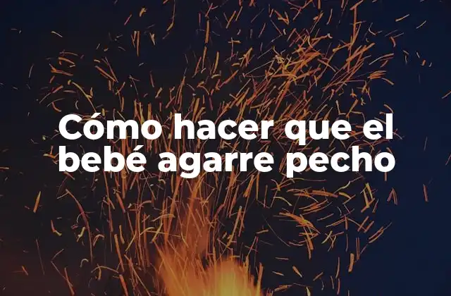 Cómo Hacer que el Bebé Agarre Pecho