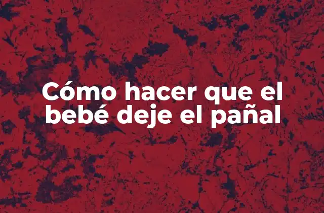Cómo Hacer que el Bebé Deje el Pañal