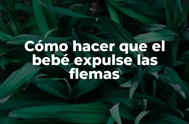 Cómo Hacer que el Bebé Expulse las Flemas