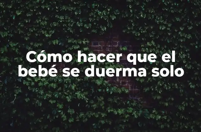 Cómo Hacer que el Bebé Se Duerma Solo