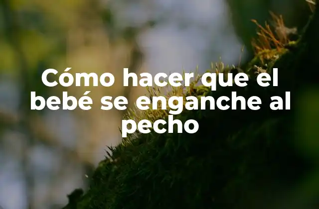 Cómo Hacer que el Bebé Se Enganche Al Pecho