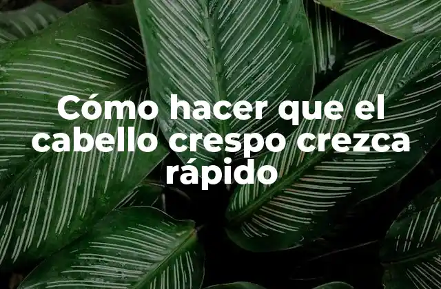 Cómo Hacer que el Cabello Crespo Crezca Rápido