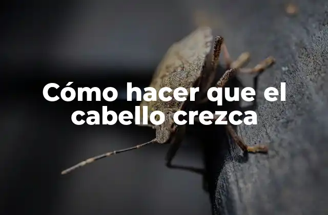 Cómo Hacer que el Cabello Crezca