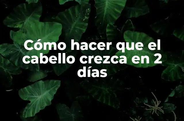 Cómo Hacer que el Cabello Crezca en 2 Días
