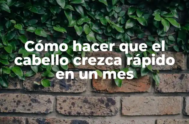 Cómo Hacer que el Cabello Crezca Rápido en un Mes 2 Cómo hacer que el cabello crezca rápido en un mes