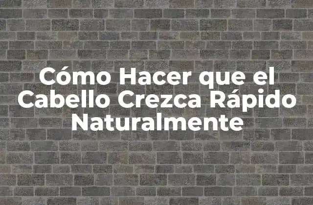 Cómo Hacer que el Cabello Crezca Rápido Naturalmente 2 ¿Qué es el Crecimiento del Cabello y por qué es Importante?