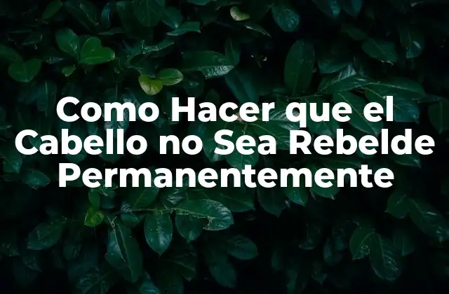 Como Hacer que el Cabello No Sea Rebelde Permanentemente 2 ¿Qué es el Cabello Rebelde y Cómo se Producen los Problemas?