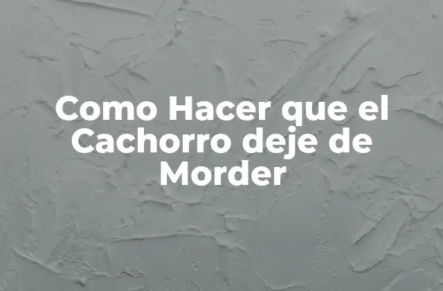 Como Hacer que el Cachorro Deje de Morder