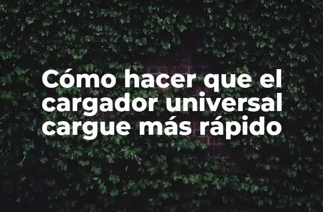 Cómo Hacer que el Cargador Universal Cargue Más Rápido