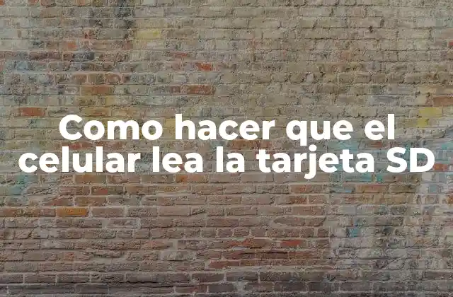 Como Hacer que el Celular Lea la Tarjeta Sd
