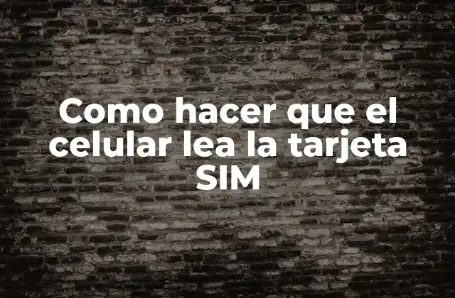 Como Hacer que el Celular Lea la Tarjeta Sim