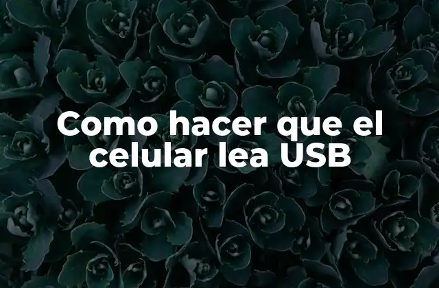 Como Hacer que el Celular Lea Usb