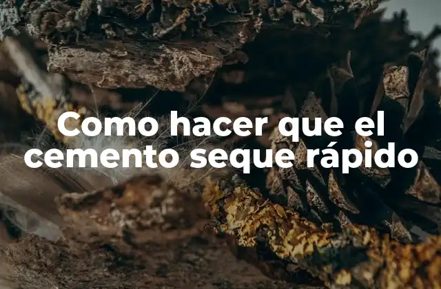 Como Hacer que el Cemento Seque Rápido