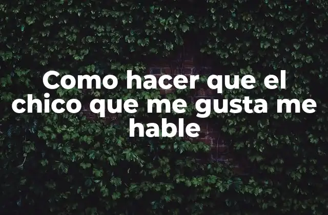 Como Hacer que el Chico que Me Gusta Me Hable
