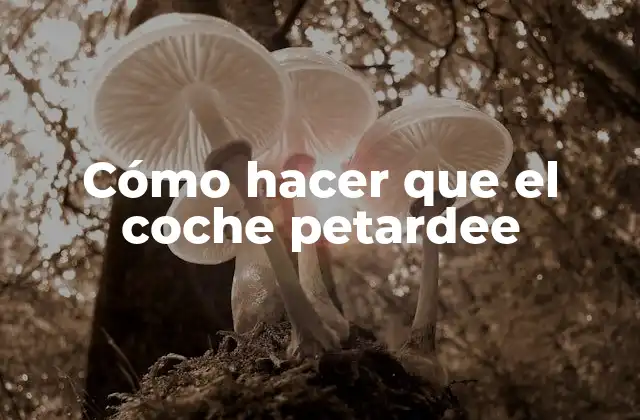 Cómo hacer que el coche petardee