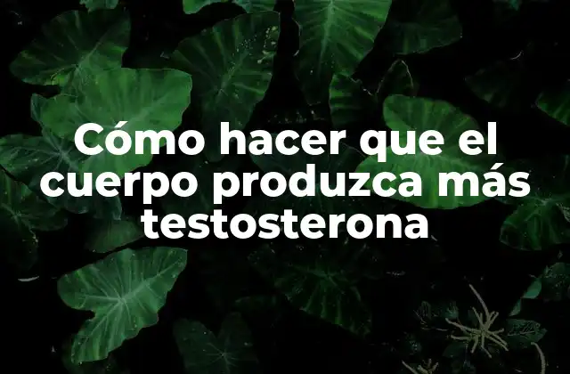 Cómo Hacer que el Cuerpo Produzca Más Testosterona