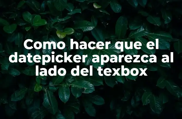 Como Hacer que el Datepicker Aparezca Al Lado Del Texbox