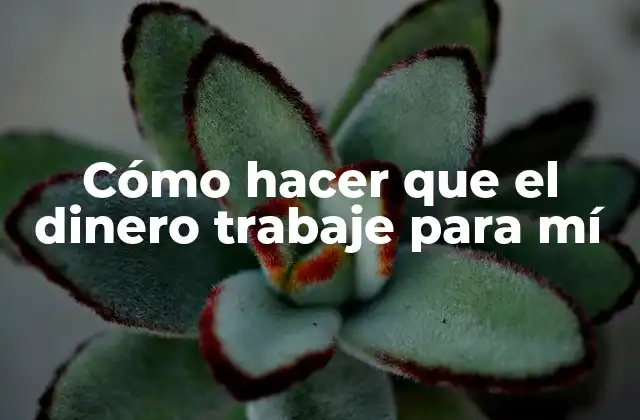 Cómo Hacer que el Dinero Trabaje para Mí