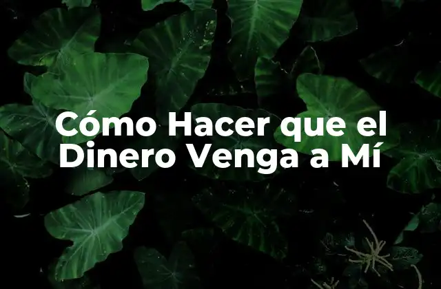 Cómo Hacer que el Dinero Venga a Mí