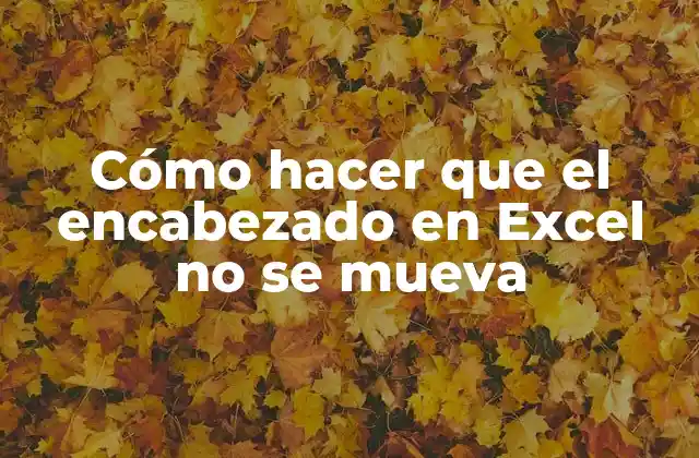Cómo Hacer que el Encabezado en Excel No Se Mueva