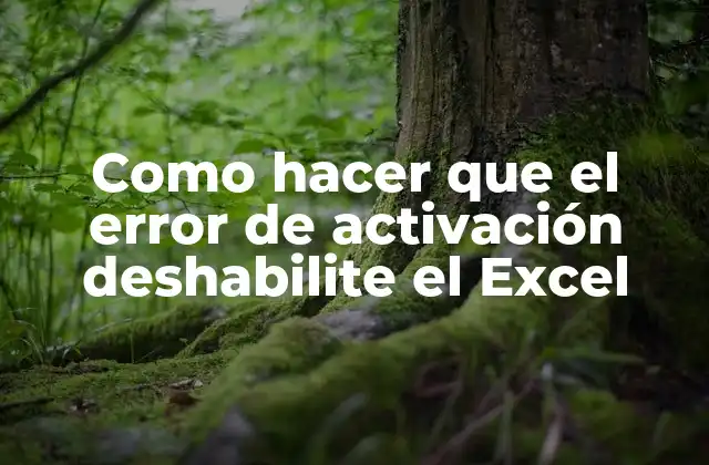 Como Hacer que el Error de Activación Deshabilite el Excel 2 Error de activación de Excel