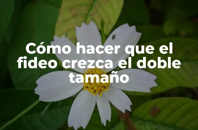 Cómo Hacer que el Fideo Crezca el Doble Tamaño