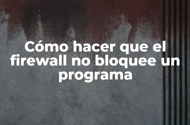 Cómo Hacer que el Firewall No Bloquee un Programa