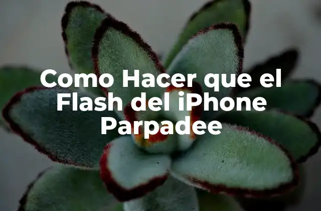 Como Hacer que el Flash Del Iphone Parpadee